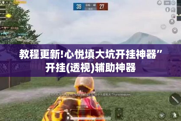 教程更新!心悦填大坑开挂神器	”开挂(透视)辅助神器