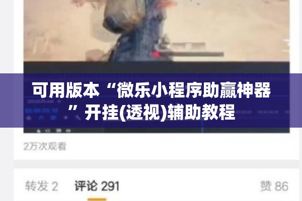 可用版本“微乐小程序助赢神器”开挂(透视)辅助教程