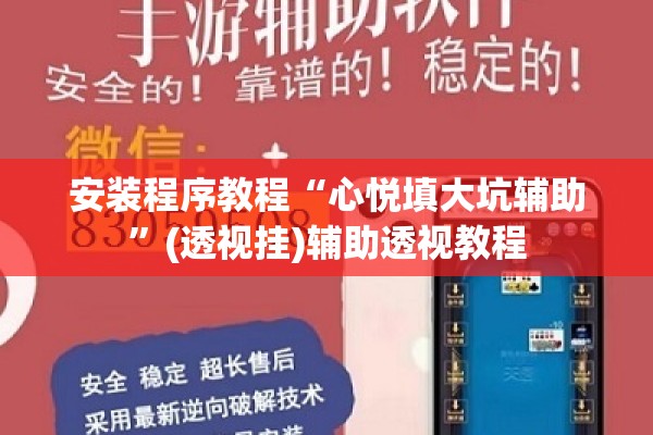 安装程序教程“心悦填大坑辅助	”(透视挂)辅助透视教程