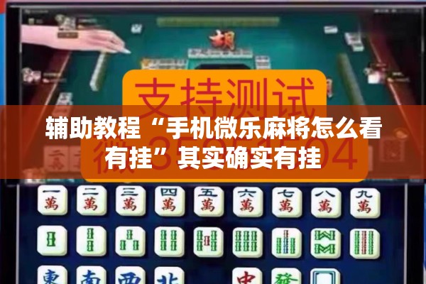 辅助教程“手机微乐麻将怎么看有挂”其实确实有挂
