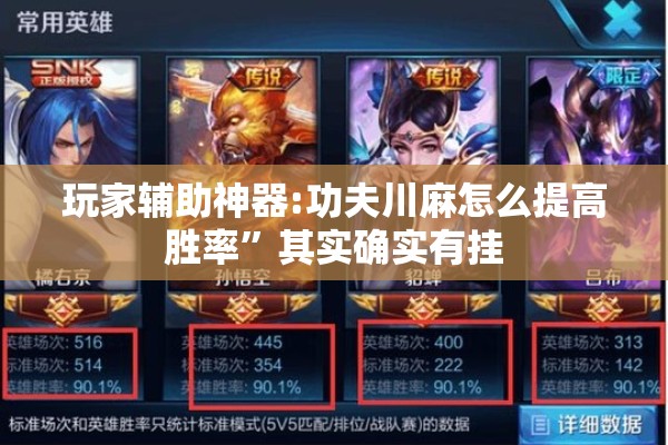 玩家辅助神器:功夫川麻怎么提高胜率	”其实确实有挂