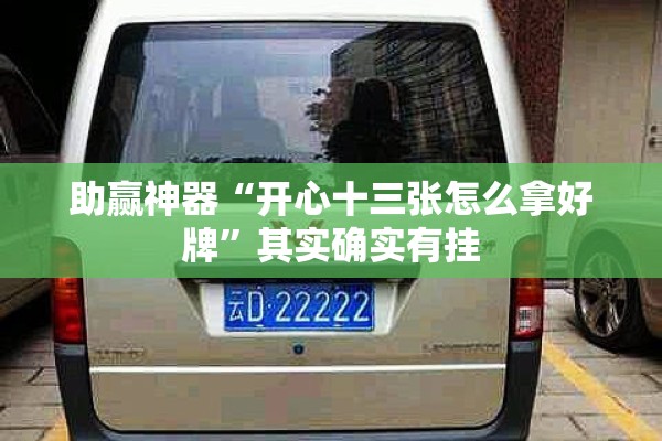 助赢神器“开心十三张怎么拿好牌”其实确实有挂