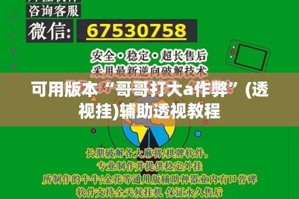 可用版本“哥哥打大a作弊”(透视挂)辅助透视教程