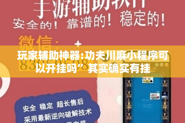 玩家辅助神器:功夫川麻小程序可以开挂吗”其实确实有挂