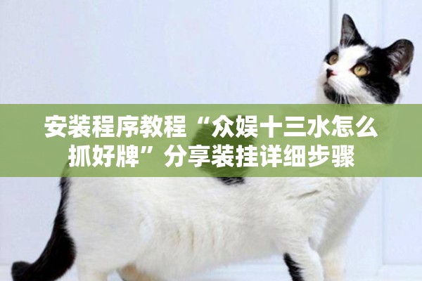 安装程序教程“众娱十三水怎么抓好牌	”分享装挂详细步骤