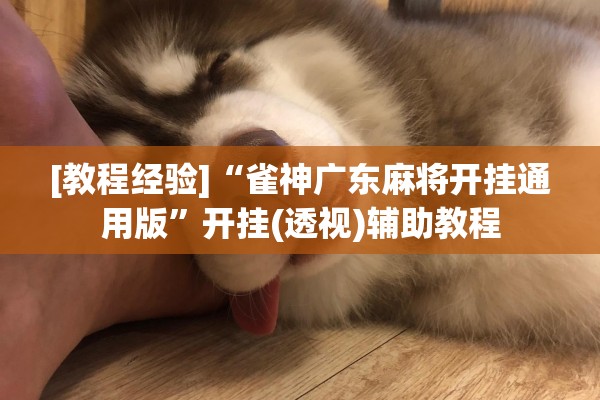 [教程经验]“雀神广东麻将开挂通用版”开挂(透视)辅助教程