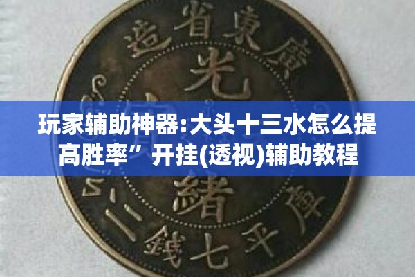 玩家辅助神器:大头十三水怎么提高胜率	”开挂(透视)辅助教程