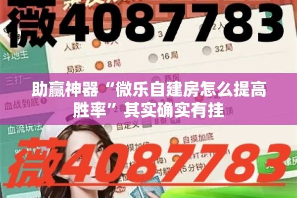助赢神器“微乐自建房怎么提高胜率”其实确实有挂
