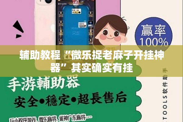 辅助教程“微乐捉老麻子开挂神器”其实确实有挂