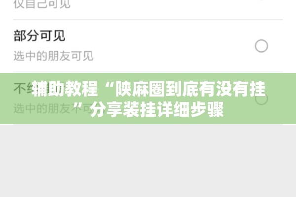 辅助教程“陕麻圈到底有没有挂	”分享装挂详细步骤