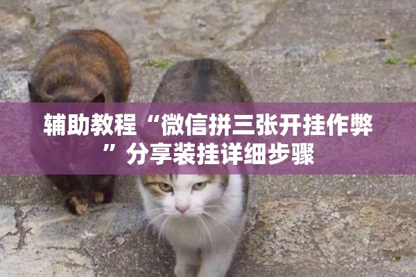 辅助教程“微信拼三张开挂作弊”分享装挂详细步骤