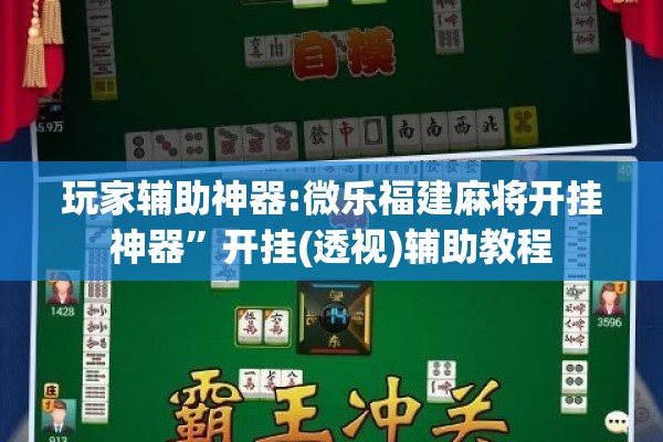 玩家辅助神器:微乐福建麻将开挂神器	”开挂(透视)辅助教程
