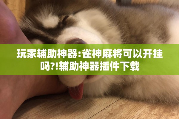 玩家辅助神器:雀神麻将可以开挂吗?!辅助神器插件下载