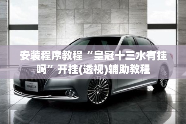 安装程序教程“皇冠十三水有挂吗”开挂(透视)辅助教程