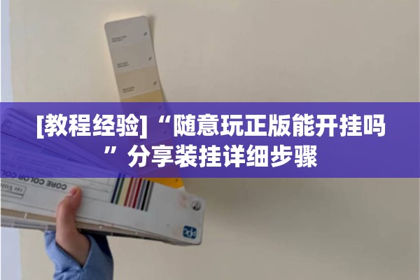 [教程经验]“随意玩正版能开挂吗	”分享装挂详细步骤