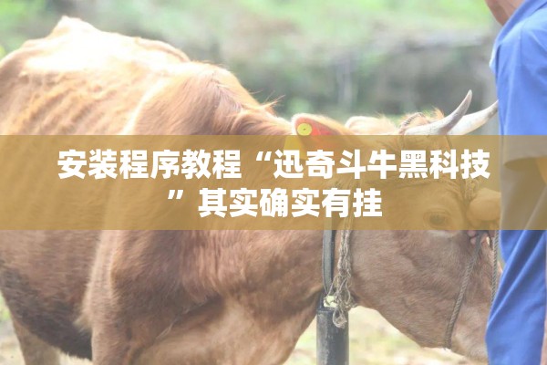 安装程序教程“迅奇斗牛黑科技”其实确实有挂