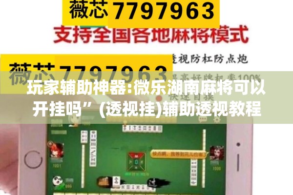 玩家辅助神器:微乐湖南麻将可以开挂吗	”(透视挂)辅助透视教程