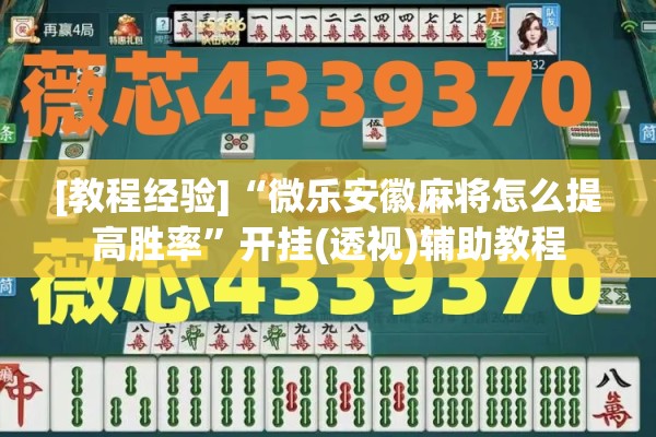 [教程经验]“微乐安徽麻将怎么提高胜率”开挂(透视)辅助教程