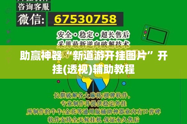 助赢神器“新道游开挂图片”开挂(透视)辅助教程