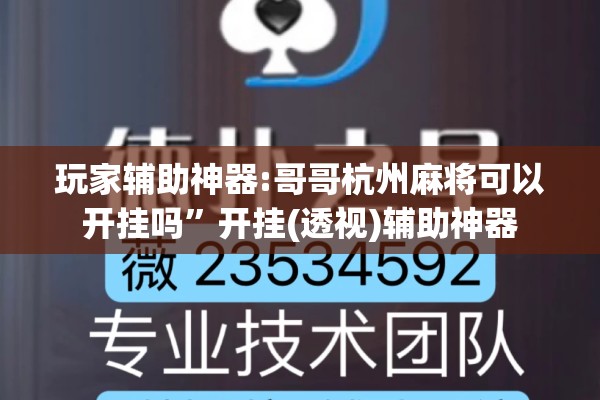 玩家辅助神器:哥哥杭州麻将可以开挂吗	”开挂(透视)辅助神器