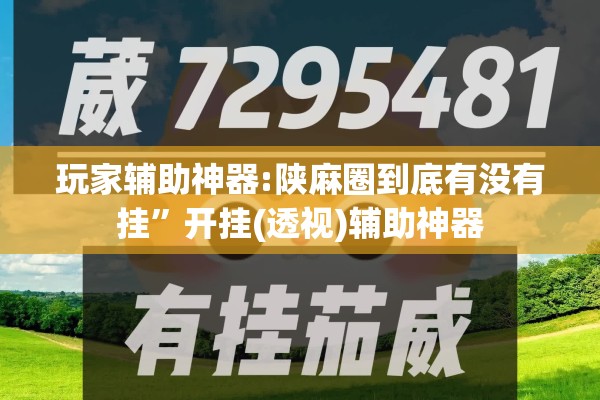 玩家辅助神器:陕麻圈到底有没有挂”开挂(透视)辅助神器