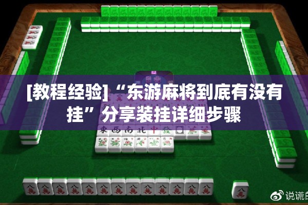 [教程经验]“东游麻将到底有没有挂”分享装挂详细步骤