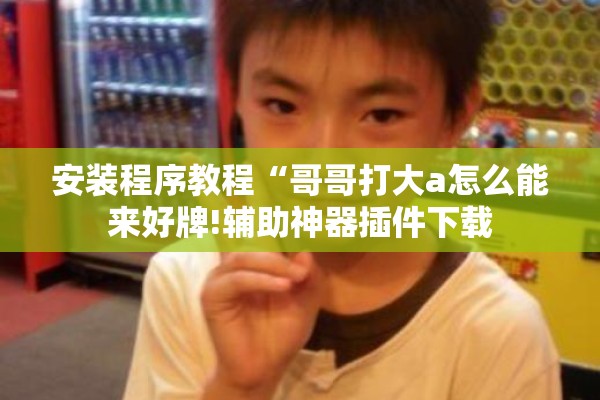 安装程序教程“哥哥打大a怎么能来好牌!辅助神器插件下载