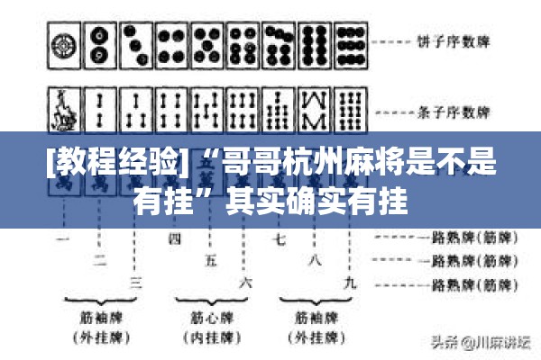 [教程经验]“哥哥杭州麻将是不是有挂”其实确实有挂