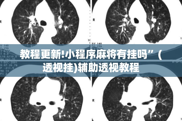 教程更新!小程序麻将有挂吗”(透视挂)辅助透视教程