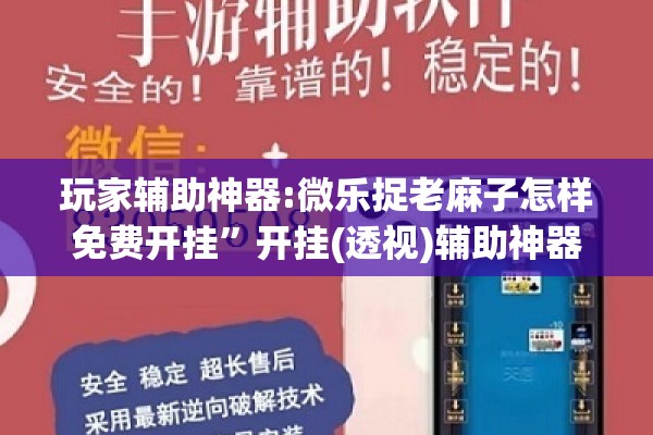玩家辅助神器:微乐捉老麻子怎样免费开挂”开挂(透视)辅助神器