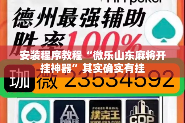 安装程序教程“微乐山东麻将开挂神器	”其实确实有挂