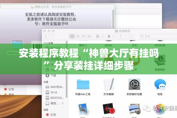 安装程序教程“神兽大厅有挂吗	”分享装挂详细步骤