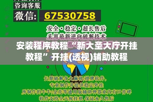安装程序教程“新大圣大厅开挂教程	”开挂(透视)辅助教程