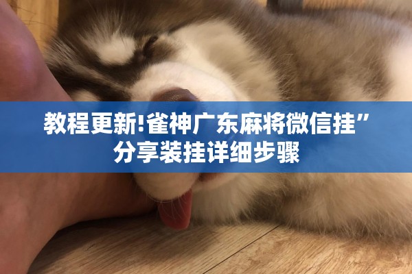 教程更新!雀神广东麻将微信挂	”分享装挂详细步骤