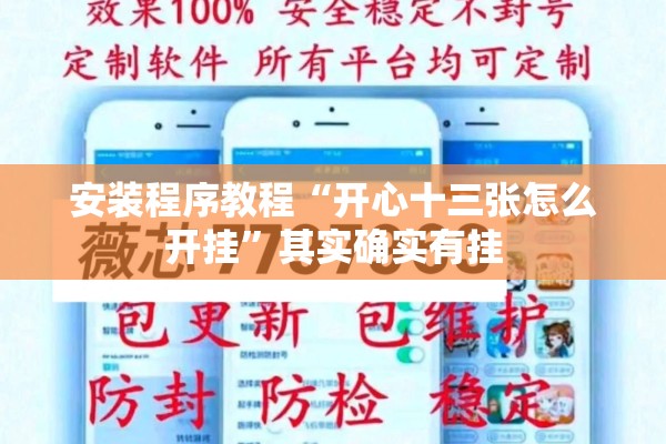 安装程序教程“开心十三张怎么开挂”其实确实有挂