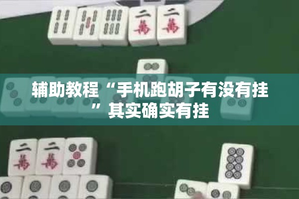 辅助教程“手机跑胡子有没有挂	”其实确实有挂