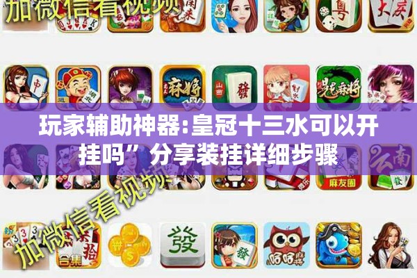 玩家辅助神器:皇冠十三水可以开挂吗”分享装挂详细步骤