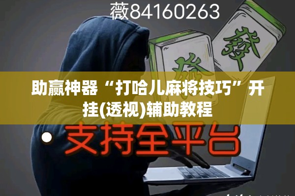 助赢神器“打哈儿麻将技巧”开挂(透视)辅助教程