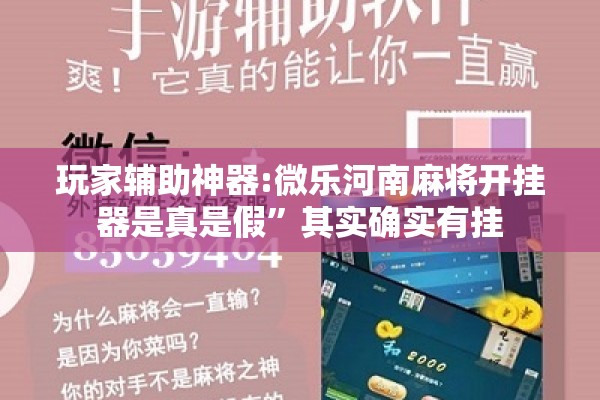 玩家辅助神器:微乐河南麻将开挂器是真是假”其实确实有挂