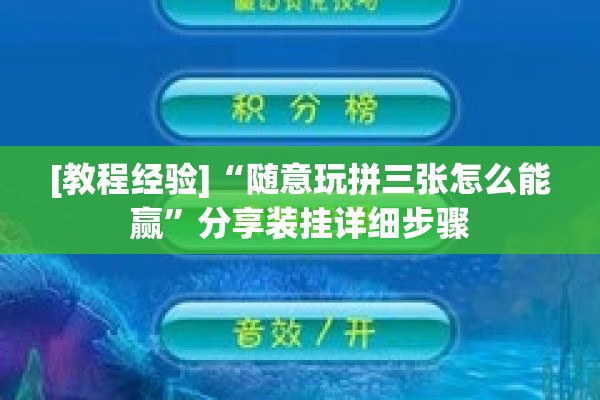 [教程经验]“随意玩拼三张怎么能赢	”分享装挂详细步骤