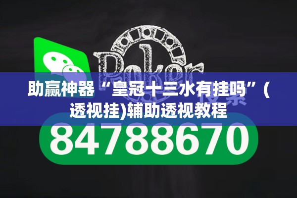 助赢神器“皇冠十三水有挂吗”(透视挂)辅助透视教程