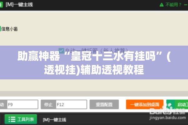 助赢神器“皇冠十三水有挂吗”(透视挂)辅助透视教程