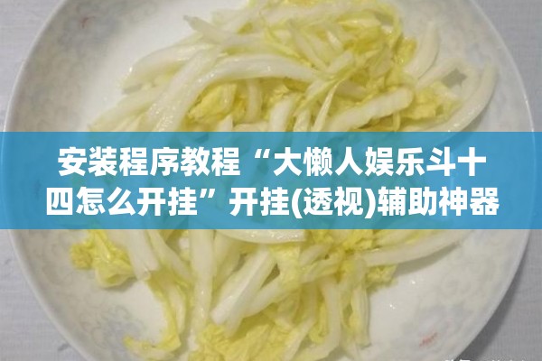 安装程序教程“大懒人娱乐斗十四怎么开挂”开挂(透视)辅助神器