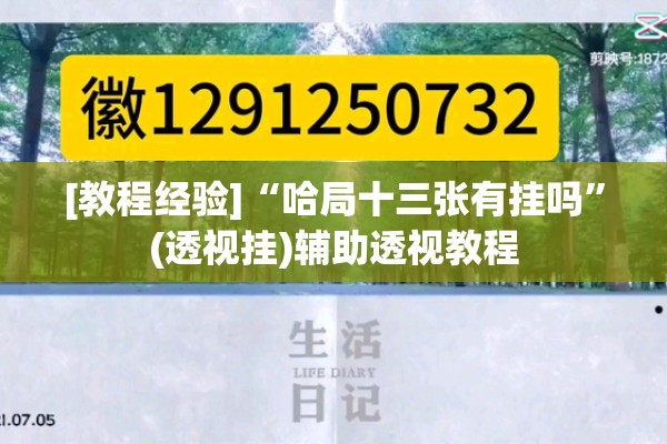 [教程经验]“哈局十三张有挂吗”(透视挂)辅助透视教程