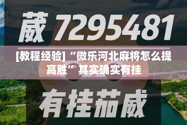 [教程经验]“微乐河北麻将怎么提高胜	”其实确实有挂