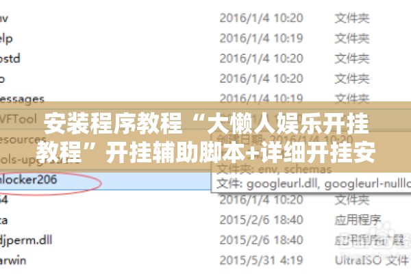安装程序教程“大懒人娱乐开挂教程”开挂辅助脚本+详细开挂安装教程