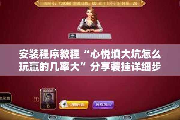 安装程序教程“心悦填大坑怎么玩赢的几率大”分享装挂详细步骤
