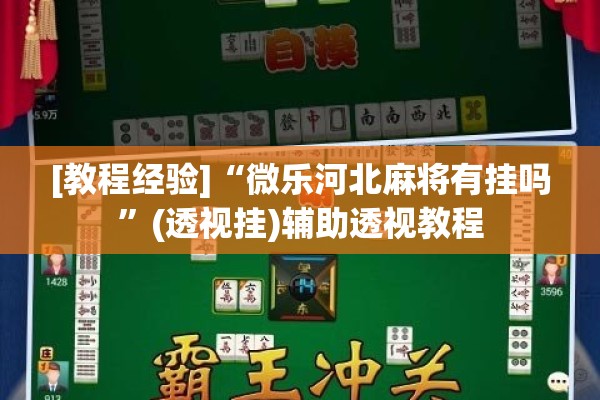 [教程经验]“微乐河北麻将有挂吗	”(透视挂)辅助透视教程