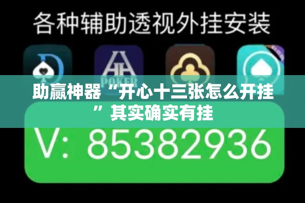 助赢神器“开心十三张怎么开挂”其实确实有挂
