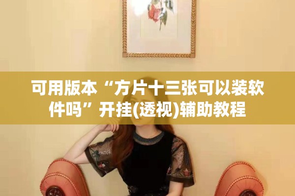 可用版本“方片十三张可以装软件吗”开挂(透视)辅助教程